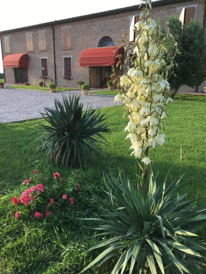 Il Frattiero B&B Voghenza Экстерьер фото